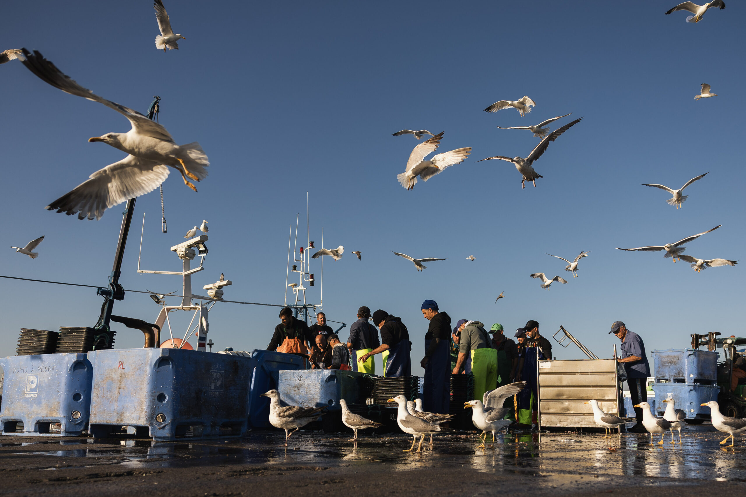 Imagen de pescadores en MatosinhosMSC Certificação Matosinhos