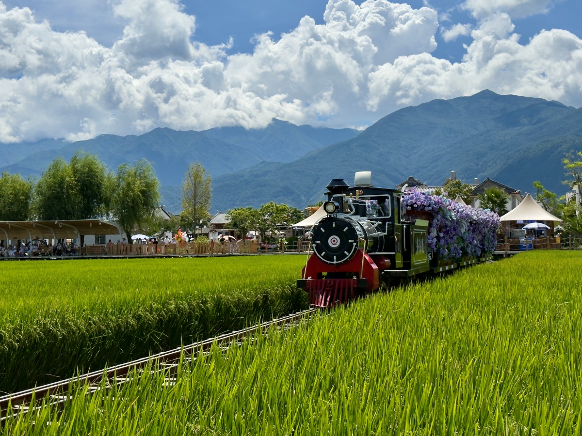 Arrozal Xizhou, Dali, Yunnan. China. 