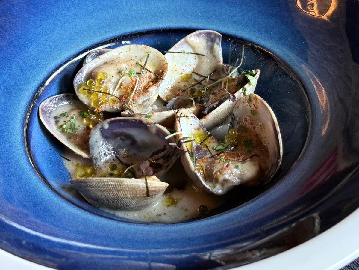 Almeja lisa a la brasa, De la ría gallega con veluté de puerros, leche de coco, aceite de cebollino y gamba roja.